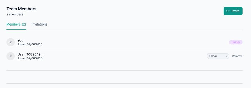 NeydFlow Team Members panel: members list with role dropdown (Owner, Editor) and a Remove action